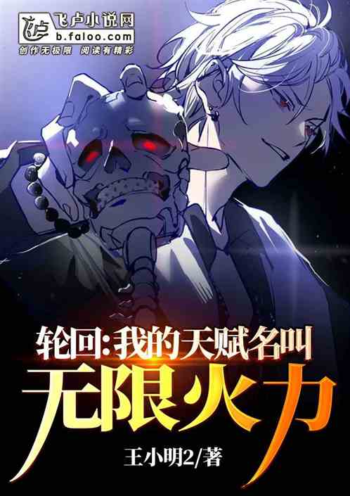 轮回空间:我的天赋叫无限火力