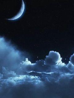 ƽ������