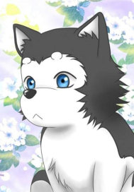 ����֮��