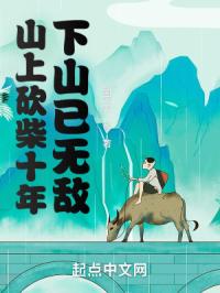 ɽ�Ͽ���ʮ�꣬��ɽ���޵�