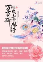 庶女崛起:农家娘子万万碎
