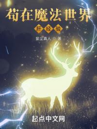 ����ħ������ξ���