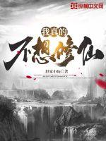 ����Ĳ�������