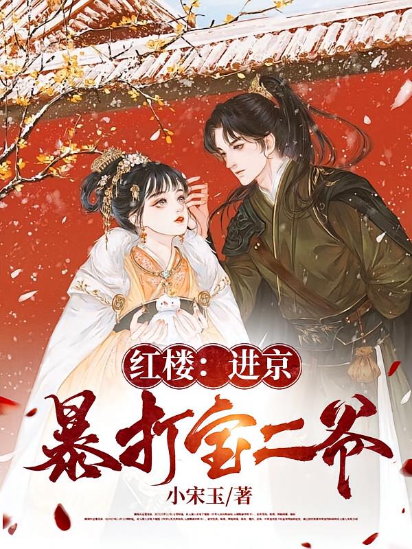 红楼:进京暴打宝二爷