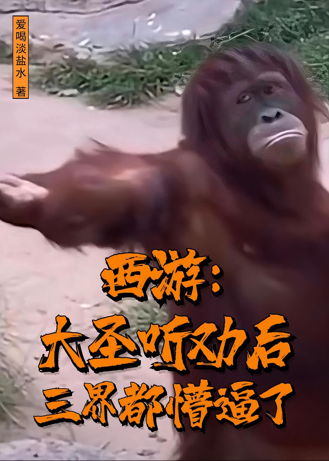 西游:大圣听劝后,三界都懵逼了