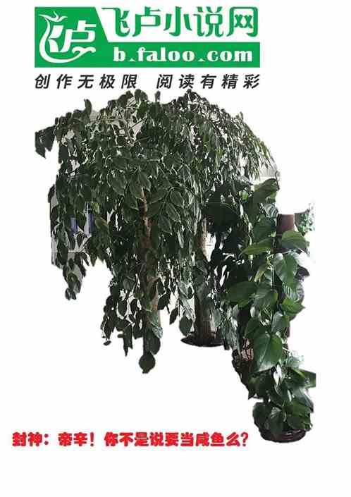 封神:帝辛,你不是要当咸鱼么?